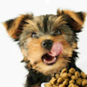 Meet your Posher, Tom